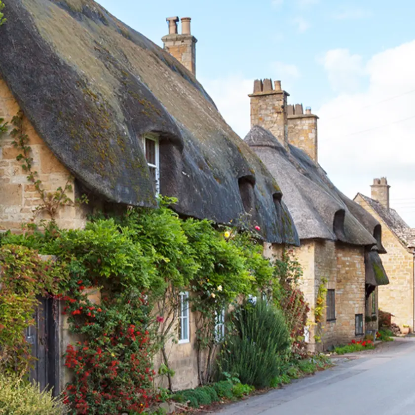 Thatch Insurance Established in 1989, our comprehensive thatched policy weaves together cover for buildings, contents, valuables, legal expenses and home assist.