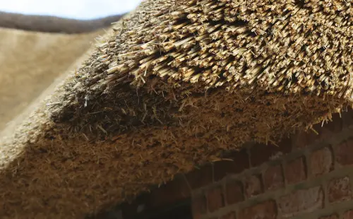 Home Insurance Insurance for you, your home and your vehicles.