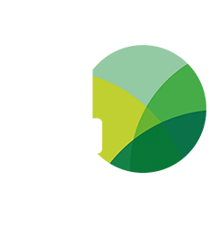 celebrating 40 years